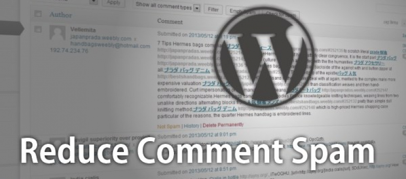 Anti-spam para WordPress